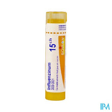 Afbeelding in Gallery-weergave laden, Influenzinum 15ch Gr 4g Boiron
