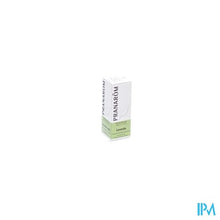Load image into Gallery viewer, Pranarom Eo Echte Lavendel 10ml