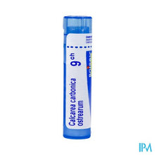 Afbeelding in Gallery-weergave laden, Calcarea Carbonica Ostrearum 9ch Gr 4g Boiron
