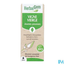 Afbeelding in Gallery-weergave laden, Herbalgem Wilde Wingerd Bio 30ml