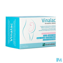 Load image into Gallery viewer, Vinalac Caps 90