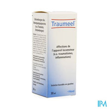 Load image into Gallery viewer, Traumeel Gutt 30ml Heel