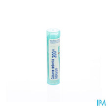Afbeelding in Gallery-weergave laden, Calcarea Carbonica Ostrearum 200k Gr 4g Boiron