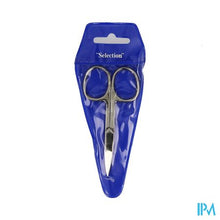 Afbeelding in Gallery-weergave laden, Selection Nagelschaar Recht Inox R10