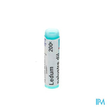 Afbeelding in Gallery-weergave laden, Ledum Palustre 200k Gl Boiron