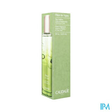 Load image into Gallery viewer, Caudalie Fris Water Fleur De Vigne Spray 50ml Nf