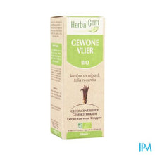 Load image into Gallery viewer, Herbalgem Vlierbes Maceraat 50ml