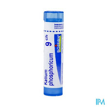 Load image into Gallery viewer, Kalium Phosphoricum 9ch Gr 4g Boiron