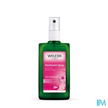 Load image into Gallery viewer, Weleda Wilde Rozen Deodorant Spray 100ml
