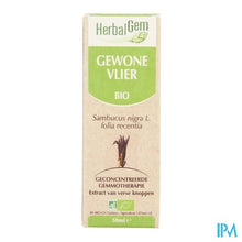 Charger l'image dans la galerie, Herbalgem Vlierbes Maceraat 50ml
