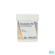 Afbeelding in Gallery-weergave laden, Glucosam Caps 60x750mg Deba