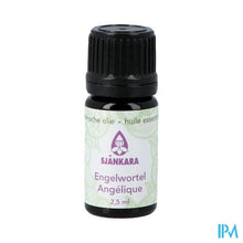 Afbeelding in Gallery-weergave laden, Sjankara Engelwortel Ess. Olie 2,5ml