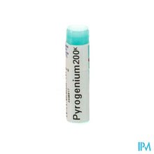 Afbeelding in Gallery-weergave laden, Pyrogenium 200k Gl Boiron