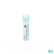 Charger l'image dans la galerie, Rhus Toxicodendron Mk Gr 4g Boiron