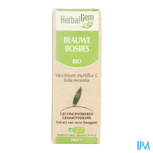 Charger l'image dans la galerie, Herbalgem Blauwe Bosbes Maceraat 50ml