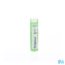 Afbeelding in Gallery-weergave laden, Pyrogenium 5ch Gr 4g Boiron