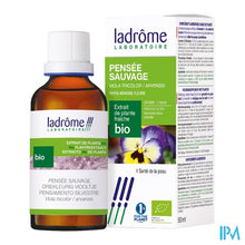 Afbeelding in Gallery-weergave laden, Ladrome Viola Tricolor/driekleurig Viooltje 50ml