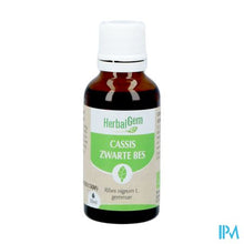 Afbeelding in Gallery-weergave laden, Herbalgem Zwarte Bes Bio 30ml