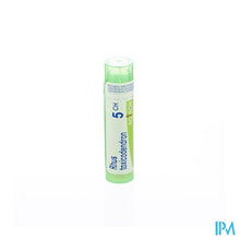 Afbeelding in Gallery-weergave laden, Rhus Toxicodendron 5ch Gr 4g Boiron