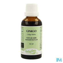 Charger l'image dans la galerie, Herbalgem Gingko Tm 50ml