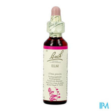 Charger l'image dans la galerie, Bach Flower Remedie 11 Elm 20ml