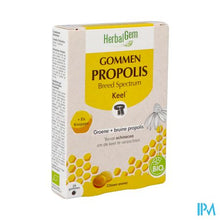 Afbeelding in Gallery-weergave laden, Herbalgem Propolis Breed Spectrum Bio Gommen 24