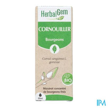 Charger l'image dans la galerie, Herbalgem Kornoelje Bio 30ml