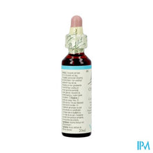 Charger l'image dans la galerie, Bach Flower Remedie 08 Chicory 20ml