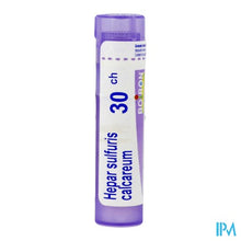Afbeelding in Gallery-weergave laden, Hepar Sulfuris Calcareum 30k Gr 4g Boiron