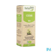 Charger l'image dans la galerie, Herbalgem Libanonceder Maceraat 50ml