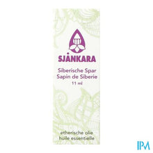 Load image into Gallery viewer, Sjankara Spar, Siberische Etherisch Olie 11ml