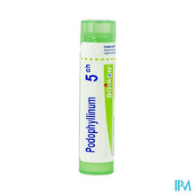 Afbeelding in Gallery-weergave laden, Podophyllum Peltatum 5ch Gr 4g Boiron