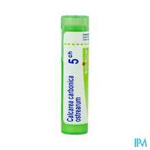 Afbeelding in Gallery-weergave laden, Calcarea Carbonica Ostrearum 5ch Gr 4g Boiron