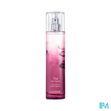 Load image into Gallery viewer, Caudalie Eau Fraiche The Des Vignes 50ml Nf