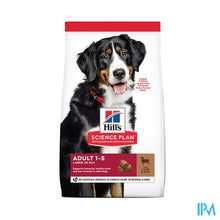 Afbeelding in Gallery-weergave laden, Science Plan Canine Adult Large Lamb&rice 14kg
