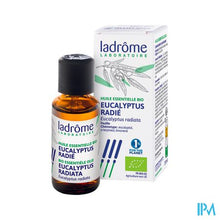 Charger l'image dans la galerie, Ladrome Eucalyptus Radiata 30ml