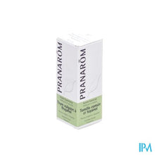 Load image into Gallery viewer, Pranarom Eo Tijm Thujanol Vulg. 5ml
