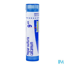 Afbeelding in Gallery-weergave laden, Hepar Sulfuris Calcareum 9ch Gr 4g Boiron