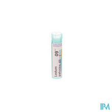 Afbeelding in Gallery-weergave laden, Ledum Palustre 9ch Gr 4g Boiron