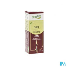 Charger l'image dans la galerie, Herbalgem Eik Maceraat 50ml