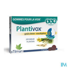 Afbeelding in Gallery-weergave laden, Plantivox Pastilles 24