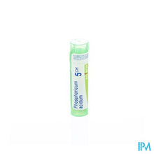 Load image into Gallery viewer, Phosphoricum Acidum 5ch Gr 4g Boiron