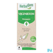 Afbeelding in Gallery-weergave laden, Herbalgem Vijgenboom Bio 30ml