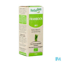 Charger l'image dans la galerie, Herbalgem Frambozen Maceraat 15ml
