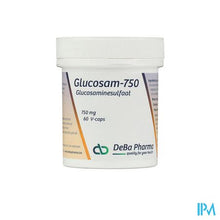 Afbeelding in Gallery-weergave laden, Glucosam Caps 60x750mg Deba