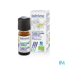 Charger l'image dans la galerie, Ladrome Canaga Odorata - Ylang Ylang 10ml