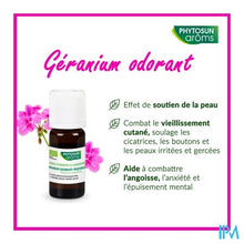 Afbeelding in Gallery-weergave laden, Phytosun Rozengeran. Fr-bio-01 10ml
