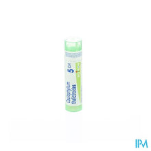 Charger l'image dans la galerie, Caulophyllum Thalictroides 5ch Gr 4g Boiron