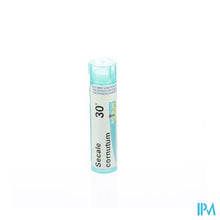 Afbeelding in Gallery-weergave laden, Secale Cornutum 30k Gr 4g Boiron