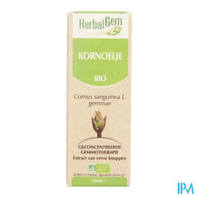 Charger l'image dans la galerie, Herbalgem Kornoelje Maceraat 50ml